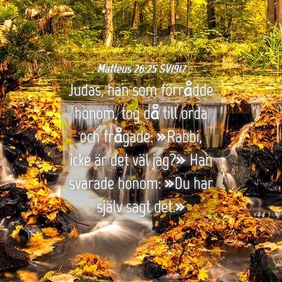 Picture 04 - Matteus 26:25 SV1917 - Judas, han som förrådde honom, tog då till - Bible Verse Picture