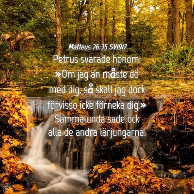 Picture 04 - Matteus 26:35 SV1917 - Petrus svarade honom: »Om jag än måste dö med - Bible Verse Picture