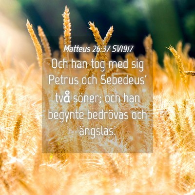 Picture 04 - Matteus 26:37 SV1917 - Och han tog med sig Petrus och Sebedeus' två - Bible Verse Picture