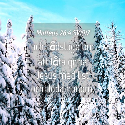 Picture 04 - Matteus 26:4 SV1917 - och rådslogo om att låta gripa Jesus med list - Bible Verse Picture