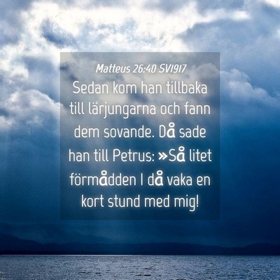Picture 04 - Matteus 26:40 SV1917 - Sedan kom han tillbaka till lärjungarna och fann - Bible Verse Picture