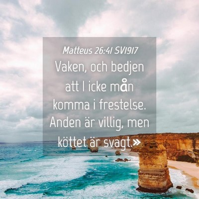 Picture 04 - Matteus 26:41 SV1917 - Vaken, och bedjen att I icke mån komma i - Bible Verse Picture