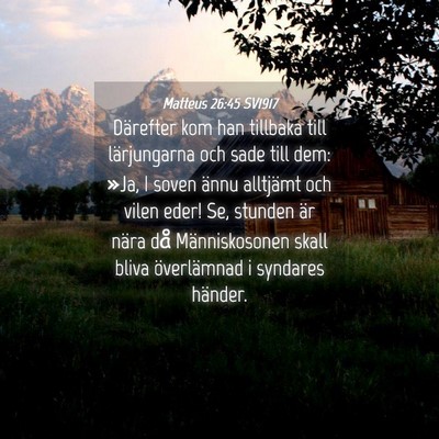 Picture 04 - Matteus 26:45 SV1917 - Därefter kom han tillbaka till lärjungarna och - Bible Verse Picture
