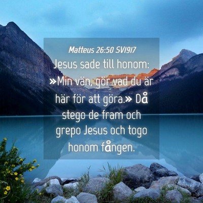 Picture 04 - Matteus 26:50 SV1917 - Jesus sade till honom: »Min vän, gör vad du - Bible Verse Picture