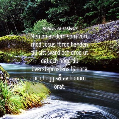 Picture 04 - Matteus 26:51 SV1917 - Men en av dem som voro med Jesus förde handen - Bible Verse Picture