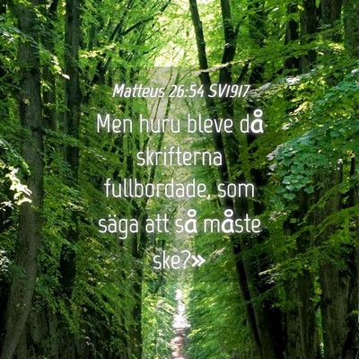 Picture 04 - Matteus 26:54 SV1917 - Men huru bleve då skrifterna fullbordade, som - Bible Verse Picture