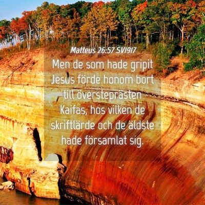 Picture 04 - Matteus 26:57 SV1917 - Men de som hade gripit Jesus förde honom bort - Bible Verse Picture