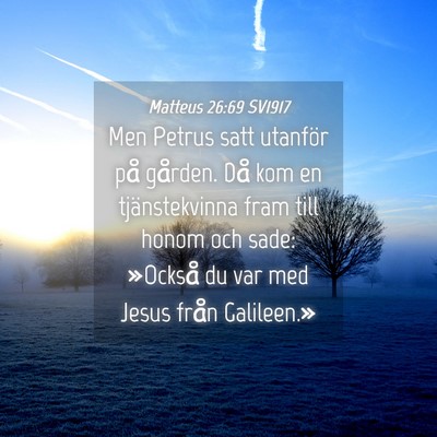 Picture 04 - Matteus 26:69 SV1917 - Men Petrus satt utanför på gården. Då kom en - Bible Verse Picture