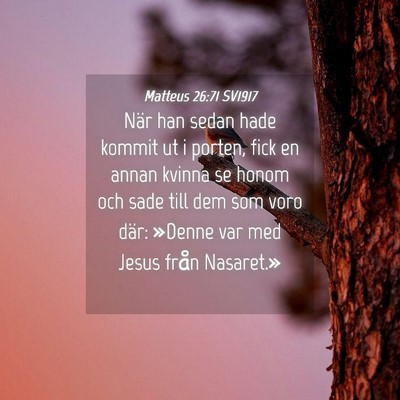 Picture 04 - Matteus 26:71 SV1917 - När han sedan hade kommit ut i porten, fick en - Bible Verse Picture
