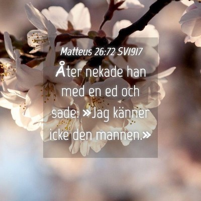 Picture 04 - Matteus 26:72 SV1917 - Åter nekade han med en ed och sade: »Jag - Bible Verse Picture