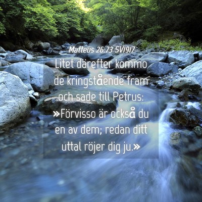 Picture 04 - Matteus 26:73 SV1917 - Litet därefter kommo de kringstående fram och - Bible Verse Picture
