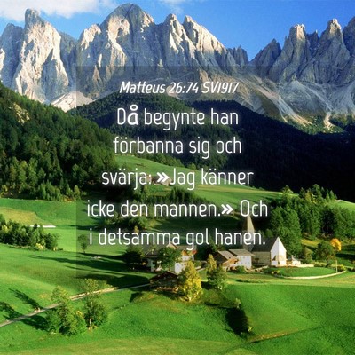 Picture 04 - Matteus 26:74 SV1917 - Då begynte han förbanna sig och svärja: »Jag - Bible Verse Picture