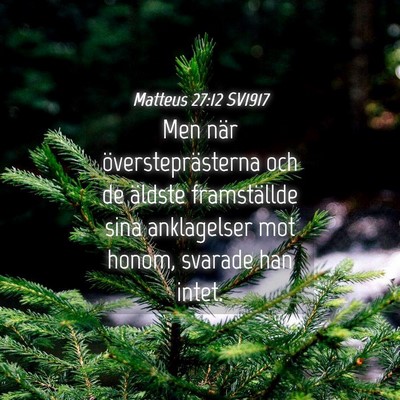 Picture 04 - Matteus 27:12 SV1917 - Men när översteprästerna och de äldste - Bible Verse Picture