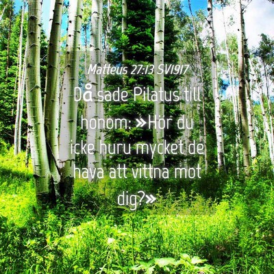 Picture 04 - Matteus 27:13 SV1917 - Då sade Pilatus till honom: »Hör du icke huru - Bible Verse Picture
