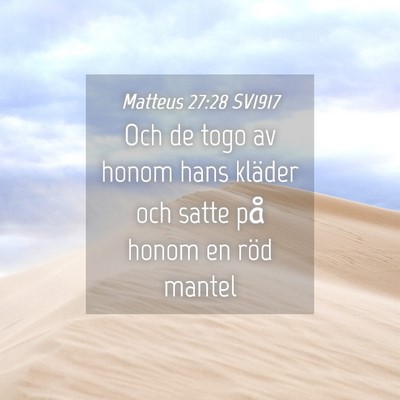 Picture 04 - Matteus 27:28 SV1917 - Och de togo av honom hans kläder och satte på - Bible Verse Picture