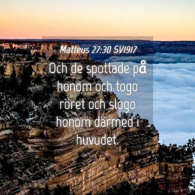 Picture 04 - Matteus 27:30 SV1917 - Och de spottade på honom och togo röret och - Bible Verse Picture
