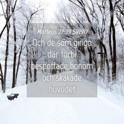 Picture 04 - Matteus 27:39 SV1917 - Och de som gingo där förbi bespottade honom och - Bible Verse Picture
