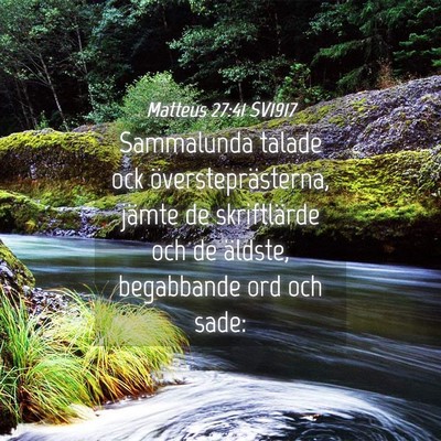 Picture 04 - Matteus 27:41 SV1917 - Sammalunda talade ock översteprästerna, jämte - Bible Verse Picture