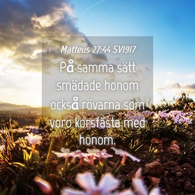 Picture 04 - Matteus 27:44 SV1917 - På samma sätt smädade honom också rövarna - Bible Verse Picture