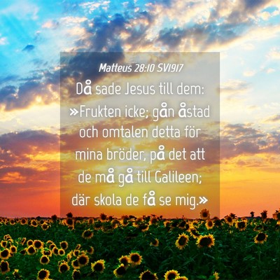 Picture 04 - Matteus 28:10 SV1917 - Då sade Jesus till dem: »Frukten icke; gån - Bible Verse Picture