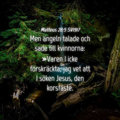 Picture 04 - Matteus 28:5 SV1917 - Men ängeln talade och sade till kvinnorna: - Bible Verse Picture