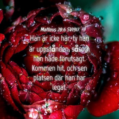 Picture 04 - Matteus 28:6 SV1917 - Han är icke här, ty han är uppstånden, såsom - Bible Verse Picture