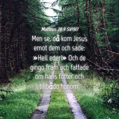 Picture 04 - Matteus 28:9 SV1917 - Men se, då kom Jesus emot dem och sade: »Hell - Bible Verse Picture