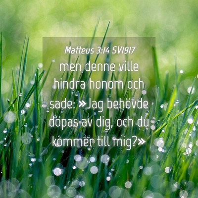 Picture 04 - Matteus 3:14 SV1917 - men denne ville hindra honom och sade: »Jag - Bible Verse Picture
