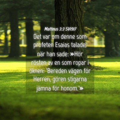 Picture 04 - Matteus 3:3 SV1917 - Det var om denne som profeten Esaias talade, när - Bible Verse Picture