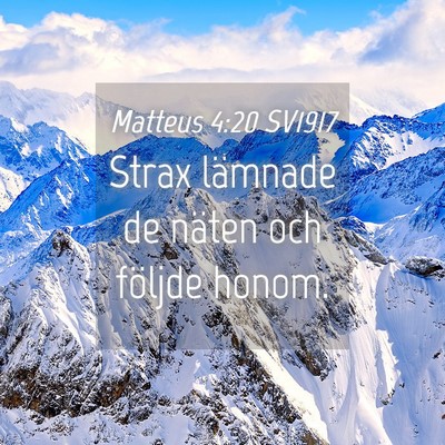 Picture 04 - Matteus 4:20 SV1917 - Strax lämnade de näten och följde - Bible Verse Picture