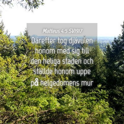 Picture 04 - Matteus 4:5 SV1917 - Därefter tog djävulen honom med sig till den - Bible Verse Picture