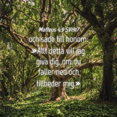 Picture 04 - Matteus 4:9 SV1917 - och sade till honom: »Allt detta vill jag giva - Bible Verse Picture