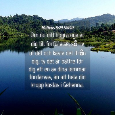 Picture 04 - Matteus 5:29 SV1917 - Om nu ditt högra öga är dig till förförelse, - Bible Verse Picture