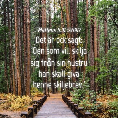 Picture 04 - Matteus 5:31 SV1917 - Det är ock sagt: 'Den som vill skilja sig från - Bible Verse Picture