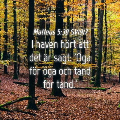 Picture 04 - Matteus 5:38 SV1917 - I haven hört att det är sagt: 'Öga för öga - Bible Verse Picture