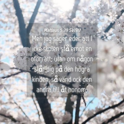 Picture 04 - Matteus 5:39 SV1917 - Men jag säger eder att I icke skolen stå emot - Bible Verse Picture
