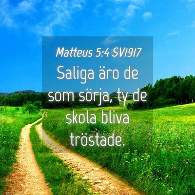 Picture 04 - Matteus 5:4 SV1917 - Saliga äro de som sörja, ty de skola bliva - Bible Verse Picture