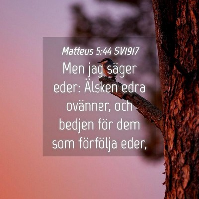 Picture 04 - Matteus 5:44 SV1917 - Men jag säger eder: Älsken edra ovänner, och - Bible Verse Picture