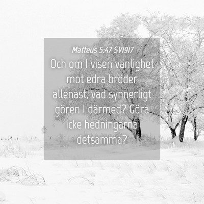 Picture 04 - Matteus 5:47 SV1917 - Och om I visen vänlighet mot edra bröder - Bible Verse Picture
