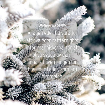 Picture 04 - Matteus 6:1 SV1917 - »Tagen eder till vara för att öva eder - Bible Verse Picture