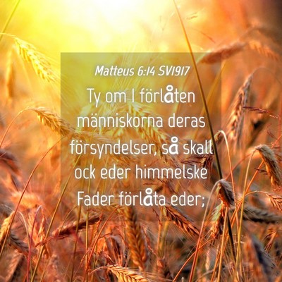Picture 04 - Matteus 6:14 SV1917 - Ty om I förlåten människorna deras - Bible Verse Picture