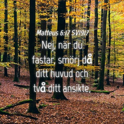 Picture 04 - Matteus 6:17 SV1917 - Nej, när du fastar, smörj då ditt huvud och - Bible Verse Picture