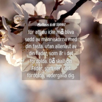 Picture 04 - Matteus 6:18 SV1917 - för att du icke må bliva sedd av människorna - Bible Verse Picture