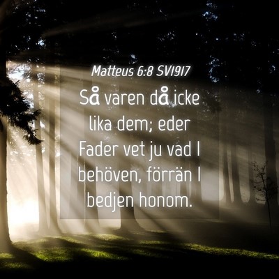 Picture 04 - Matteus 6:8 SV1917 - Så varen då icke lika dem; eder Fader vet ju - Bible Verse Picture