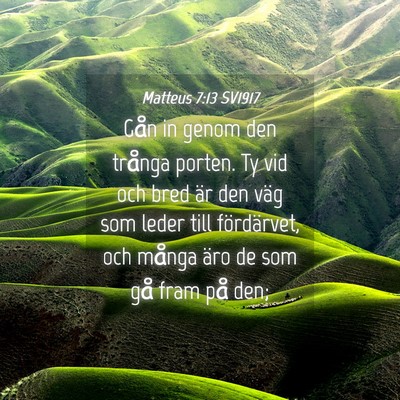 Picture 04 - Matteus 7:13 SV1917 - Gån in genom den trånga porten. Ty vid och bred - Bible Verse Picture