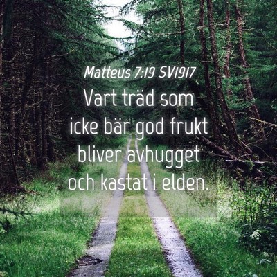 Picture 04 - Matteus 7:19 SV1917 - Vart träd som icke bär god frukt bliver - Bible Verse Picture