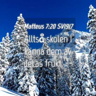 Picture 04 - Matteus 7:20 SV1917 - Alltså skolen I känna dem av deras frukt. - Bible Verse Picture