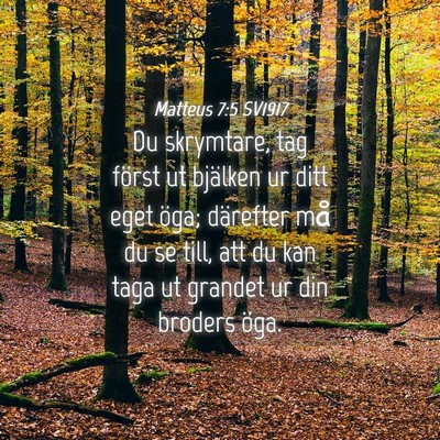 Picture 04 - Matteus 7:5 SV1917 - Du skrymtare, tag först ut bjälken ur ditt eget - Bible Verse Picture