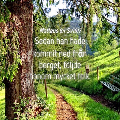 Picture 04 - Matteus 8:1 SV1917 - Sedan han hade kommit ned från berget, följde - Bible Verse Picture