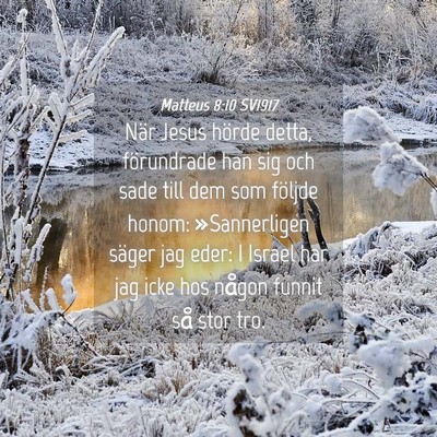Picture 04 - Matteus 8:10 SV1917 - När Jesus hörde detta, förundrade han sig och - Bible Verse Picture
